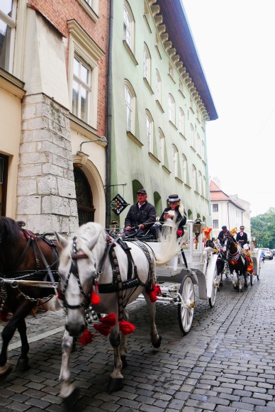 Horse-drawn carriages on the streets of Krakow