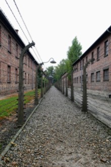 Photos from our Auschwitz tour